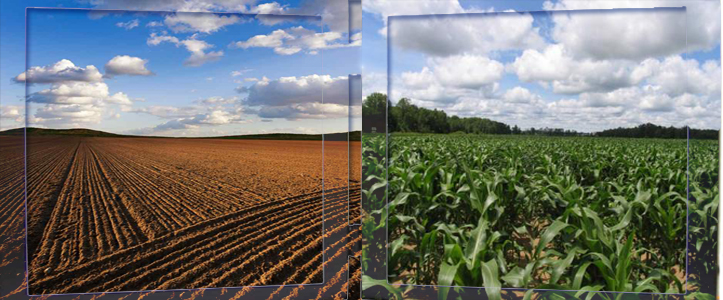 https://www.cdigital.com.pk/mapping soil fertility