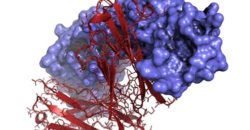 https://www.cdigital.com.pk/novel biotherapeutics